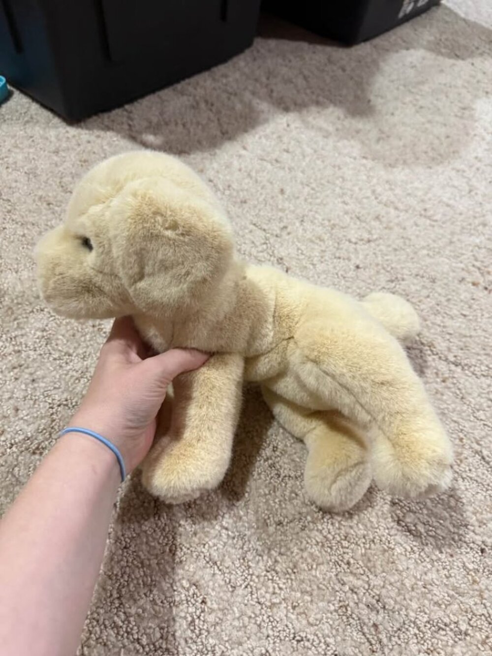 Yellow Labrador Douglas plush